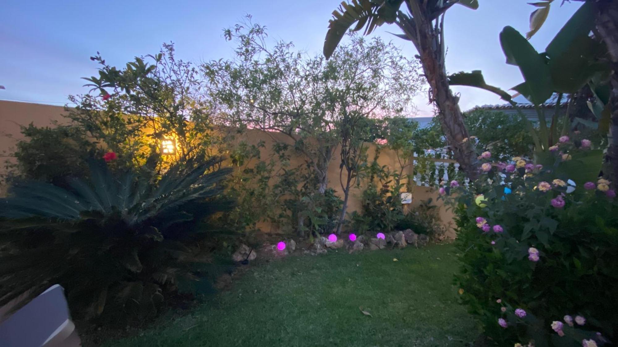 Villa Rafaela Com Piscina Αλμπουφέιρα Εξωτερικό φωτογραφία
